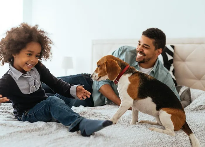 מלון דירות Citadines La Defense Paris 4*